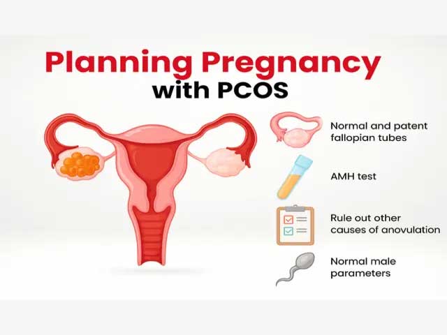 আই ভি এফ (IVF) মিথ ও বাস্তব: আপনার অজানা প্রশ্নের উত্তর