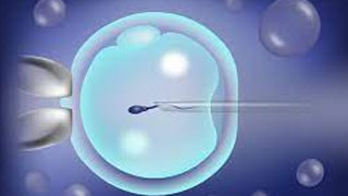 Sparsha Infertility Centre | ICSI