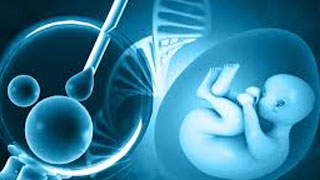 Affordable IVF treatment clinic