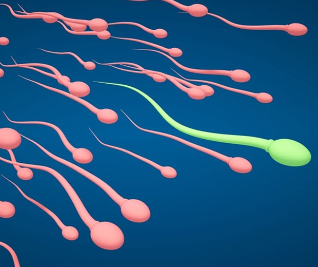 Sparsha Infertility Centre | Evaluation of Male Patients